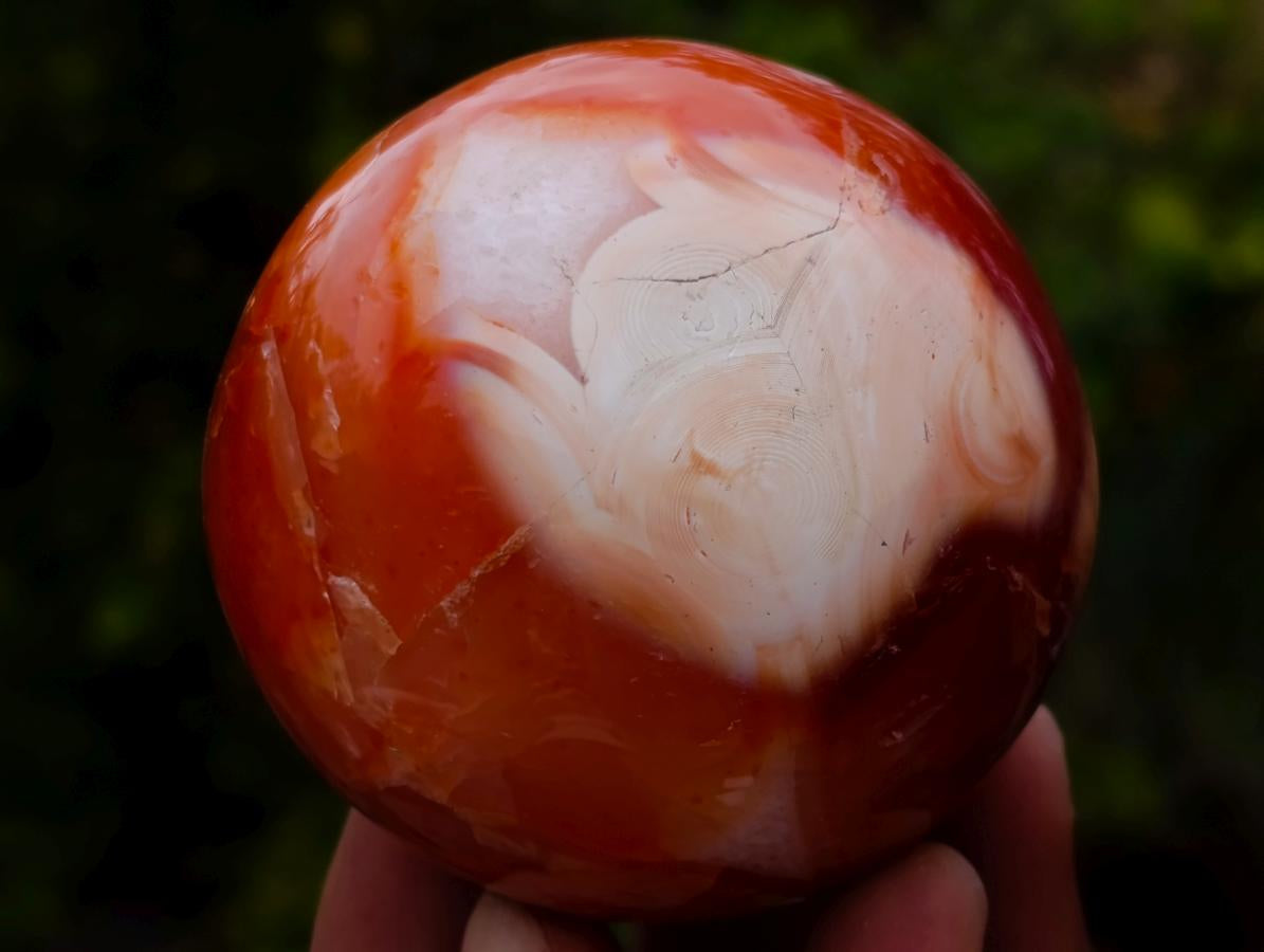 Polished Carnelian Agate Gemstone Spheres x 6 From Madagascar - Toprock Gemstones and Minerals 