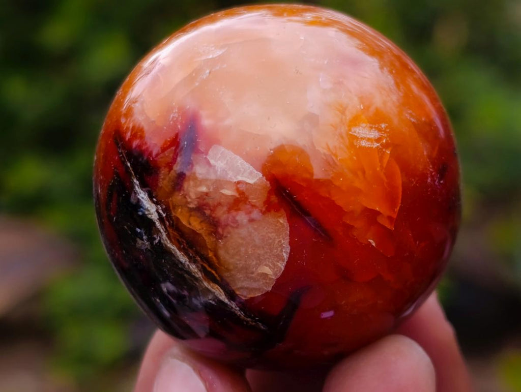 Polished Carnelian Agate Gemstone Spheres x 6 From Madagascar - Toprock Gemstones and Minerals 
