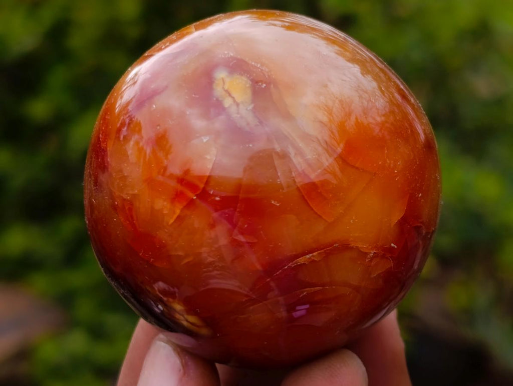 Polished Carnelian Agate Gemstone Spheres x 6 From Madagascar - Toprock Gemstones and Minerals 