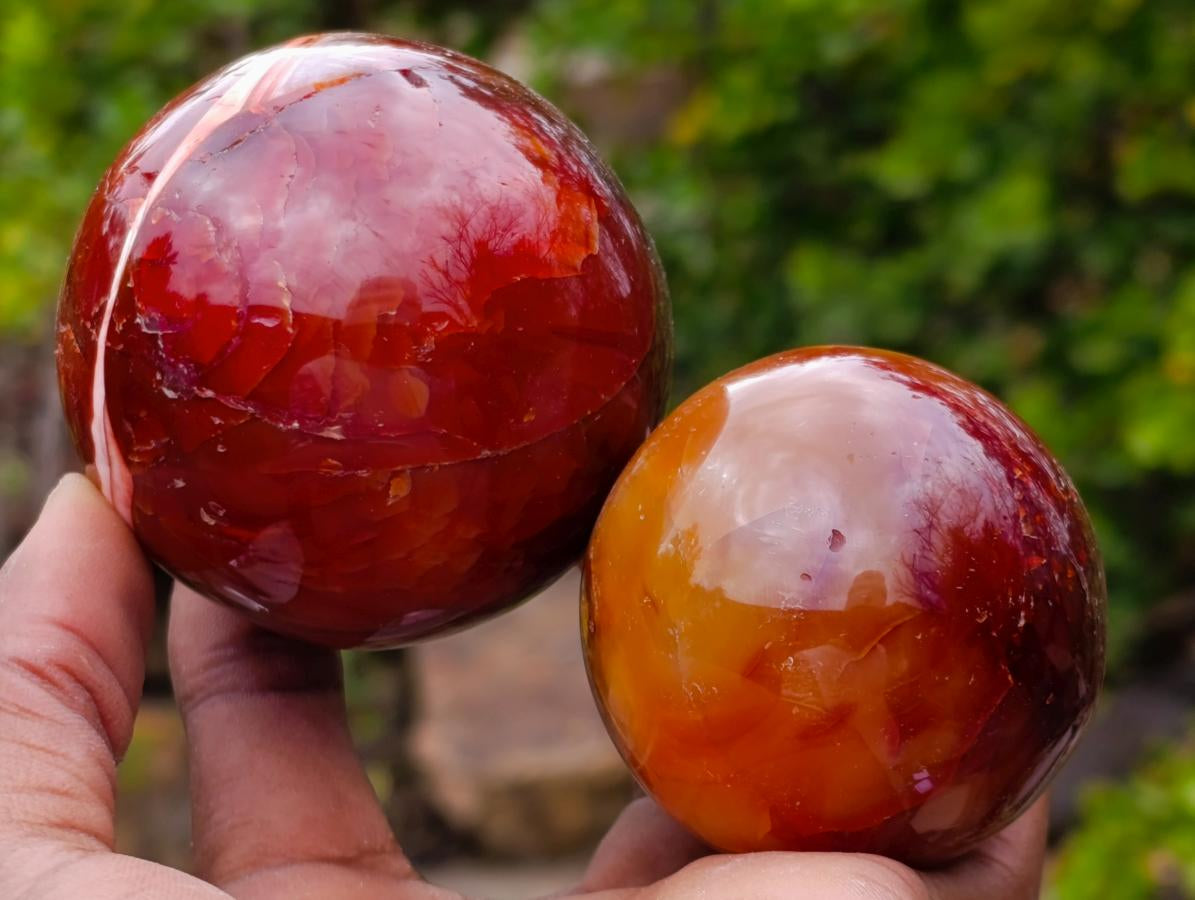 Polished Carnelian Agate Gemstone Spheres x 6 From Madagascar - Toprock Gemstones and Minerals 