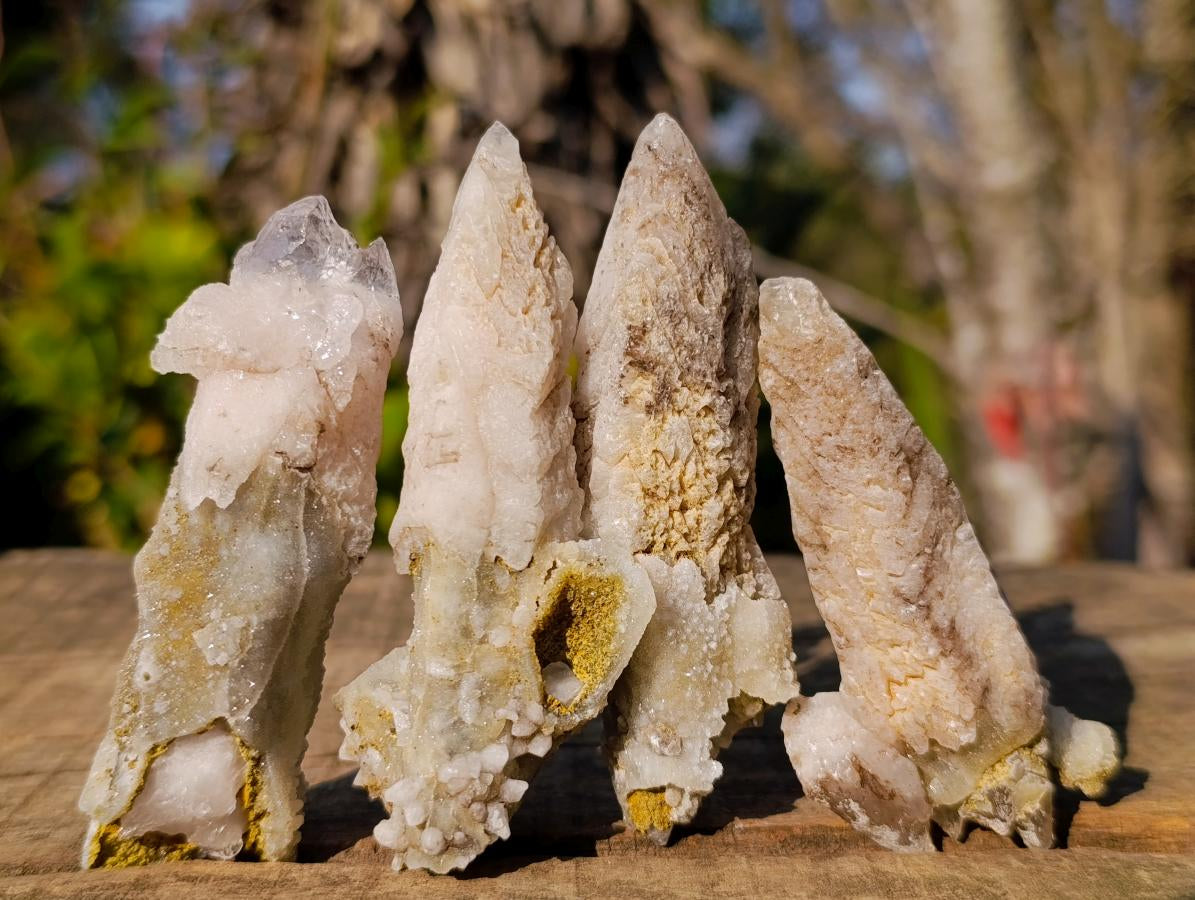 Natural Drusy Quartz Coated "Cock Spur" Calcite Crystals x 24 From Albert's Mountain, Lesotho - Toprock Gemstones and Minerals 