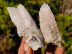 Natural Drusy Quartz Coated "Cock Spur" Calcite Crystals x 24 From Albert's Mountain, Lesotho - Toprock Gemstones and Minerals 