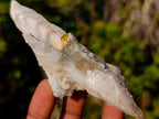 Natural Drusy Quartz Coated "Cock Spur" Calcite Crystals x 24 From Albert's Mountain, Lesotho - Toprock Gemstones and Minerals 