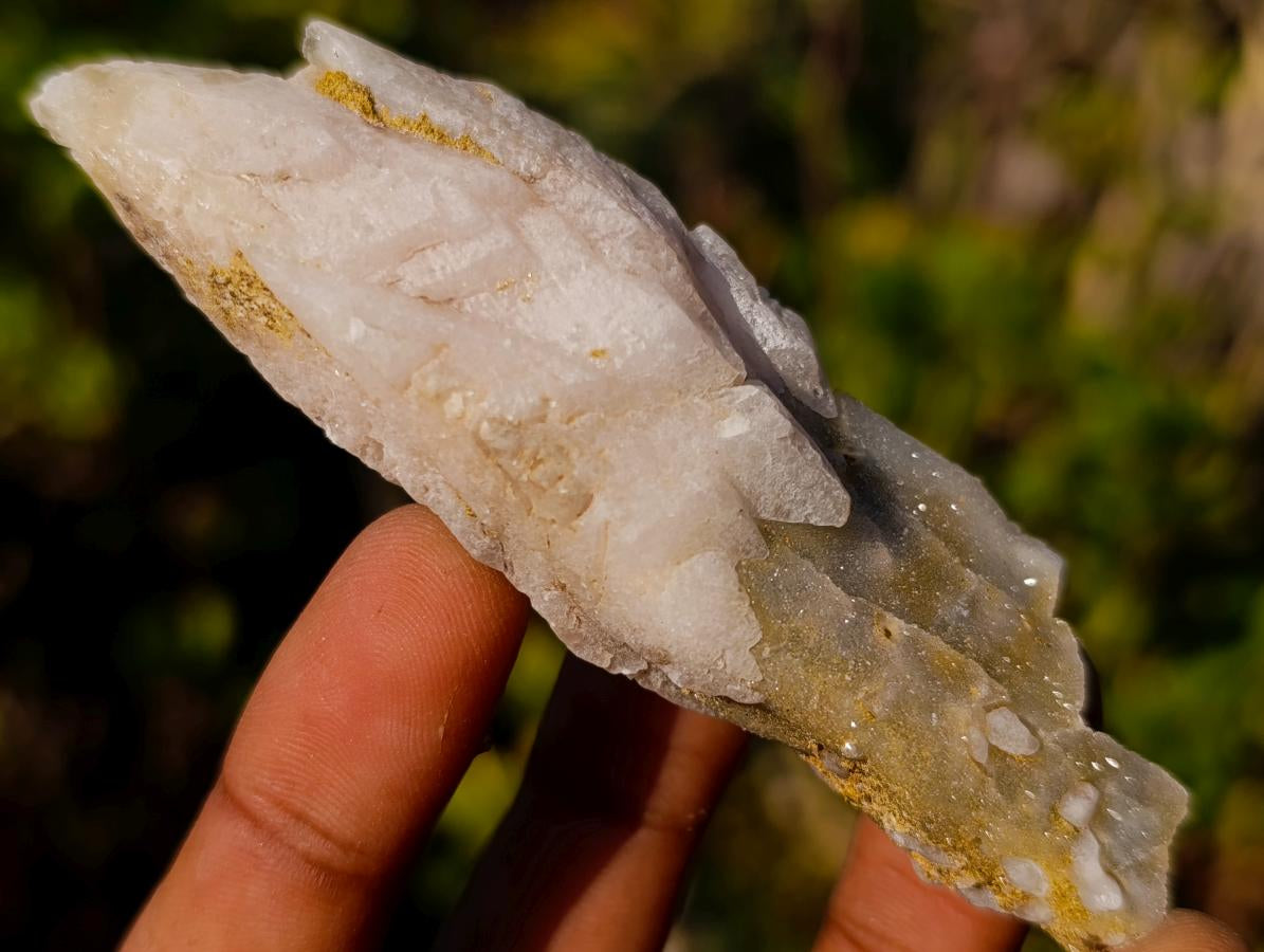 Natural Drusy Quartz Coated "Cock Spur" Calcite Crystals x 24 From Albert's Mountain, Lesotho - Toprock Gemstones and Minerals 