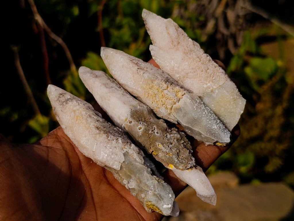 Natural Drusy Quartz Coated "Cock Spur" Calcite Crystals x 24 From Albert's Mountain, Lesotho - Toprock Gemstones and Minerals 