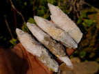 Natural Drusy Quartz Coated "Cock Spur" Calcite Crystals x 24 From Albert's Mountain, Lesotho - Toprock Gemstones and Minerals 