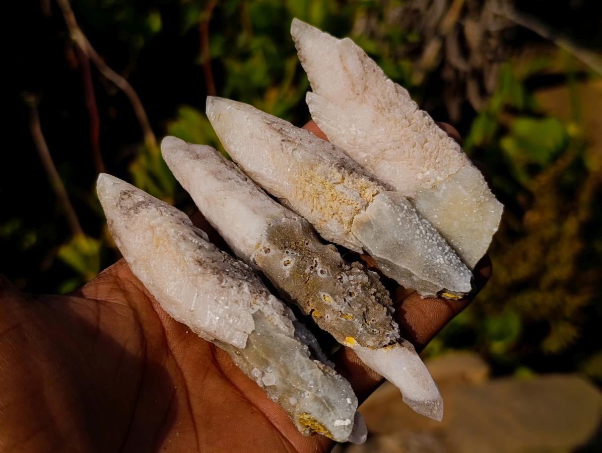 Natural Drusy Quartz Coated "Cock Spur" Calcite Crystals x 24 From Albert's Mountain, Lesotho - Toprock Gemstones and Minerals 