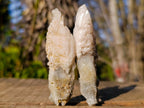 Natural Drusy Quartz Coated "Cock Spur" Calcite Crystals x 24 From Albert's Mountain, Lesotho - Toprock Gemstones and Minerals 