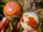 Polished Polychrome Jasper Spheres x 24 From Androka, Madagascar - Toprock Gemstones and Minerals 