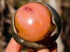 Polished Polychrome Jasper Spheres x 24 From Androka, Madagascar - Toprock Gemstones and Minerals 