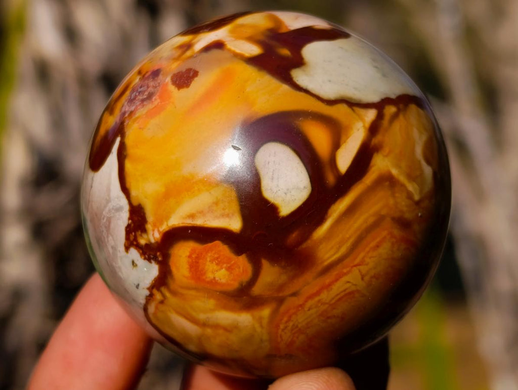 Polished Polychrome Jasper Spheres x 24 From Androka, Madagascar - Toprock Gemstones and Minerals 