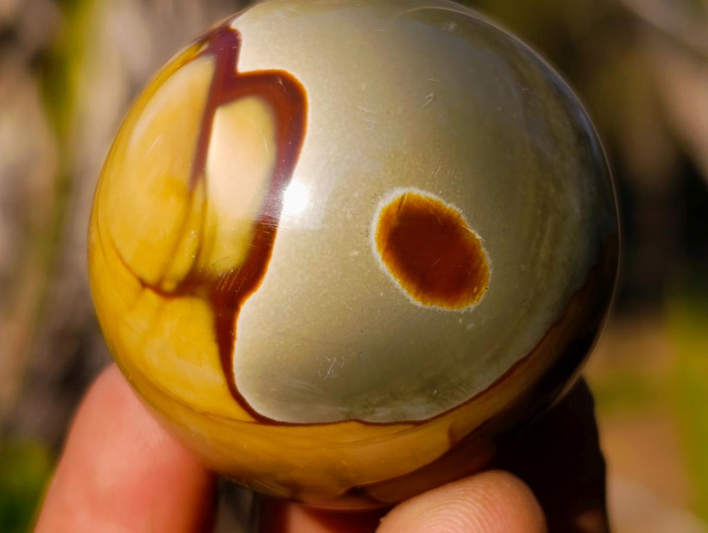 Polished Polychrome Jasper Spheres x 24 From Androka, Madagascar - Toprock Gemstones and Minerals 