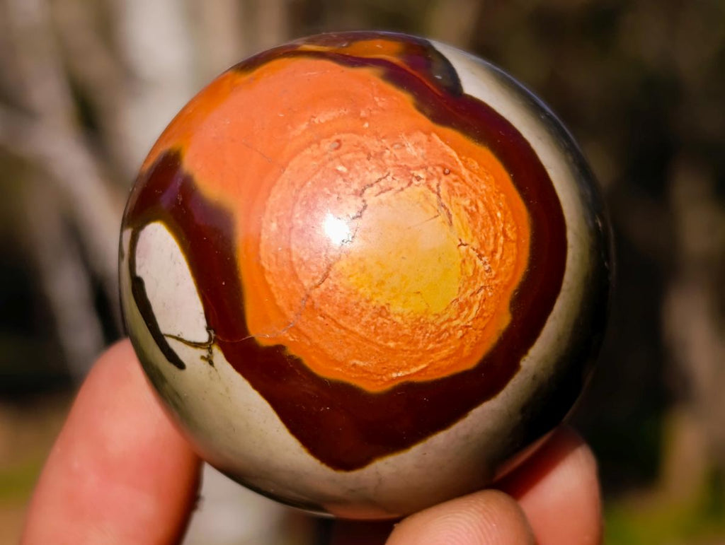 Polished Polychrome Jasper Spheres x 24 From Androka, Madagascar - Toprock Gemstones and Minerals 