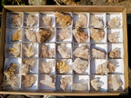 Natural Malagasy Quartz Clusters x 35 From Madagascar - Toprock Gemstones and Minerals 