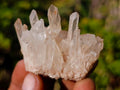 Natural Malagasy Quartz Clusters x 35 From Madagascar - Toprock Gemstones and Minerals 