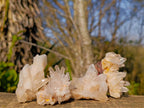 Natural Malagasy Quartz Clusters x 35 From Madagascar - Toprock Gemstones and Minerals 
