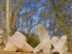 Natural Malagasy Quartz Clusters x 35 From Madagascar - Toprock Gemstones and Minerals 