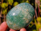 Polished Mixed Multi Mineral Galets x 24 From Madagascar - Toprock Gemstones and Minerals 