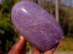 Polished Lepidolite Standing Display Pieces x 3 From Ambatondrazaka, Madagascar - Toprock Gemstones and Minerals 