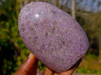 Polished Lepidolite Standing Display Pieces x 3 From Ambatondrazaka, Madagascar - Toprock Gemstones and Minerals 