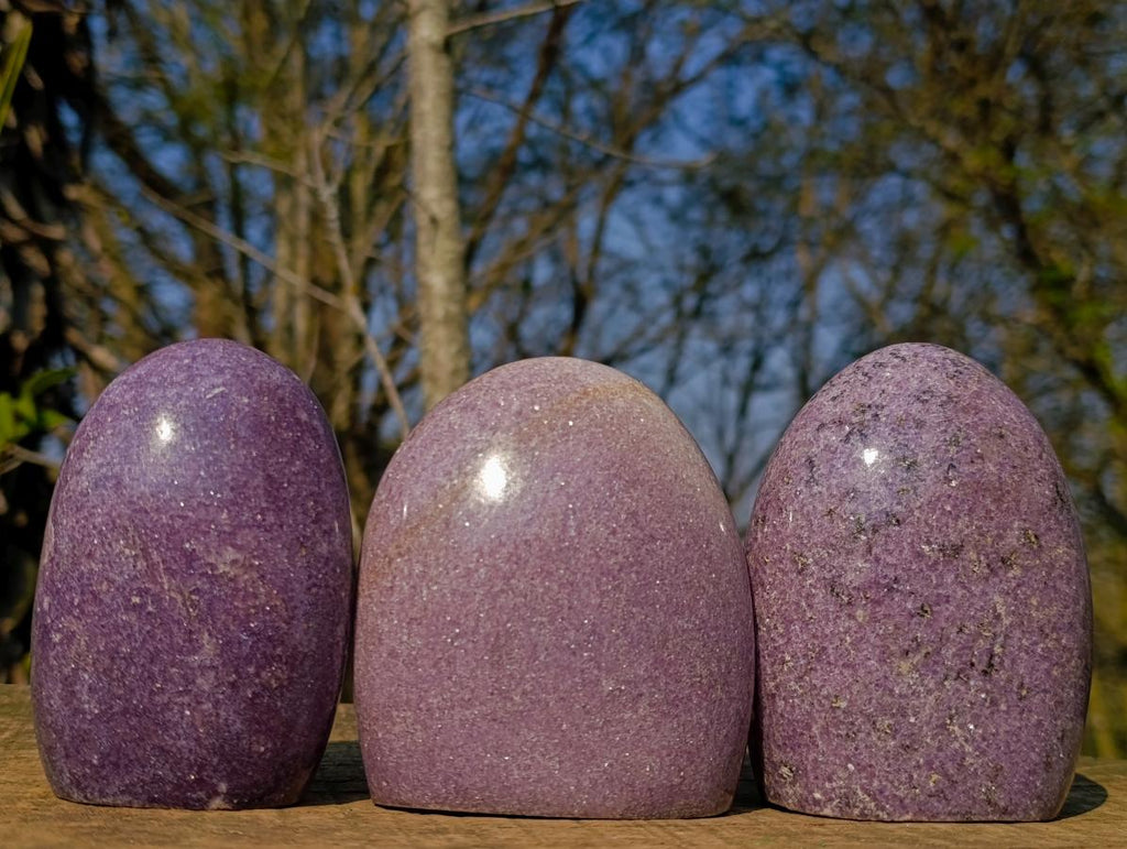 Polished Lepidolite Standing Display Pieces x 3 From Ambatondrazaka, Madagascar - Toprock Gemstones and Minerals 