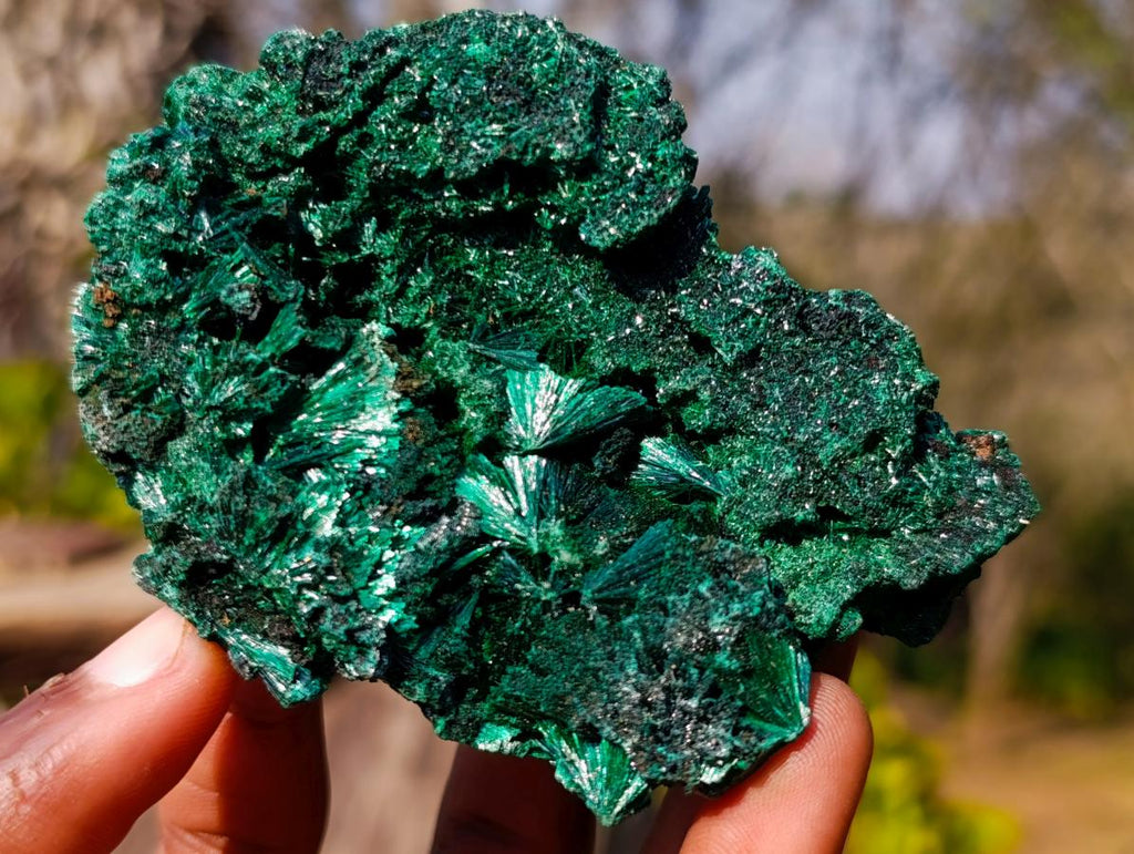 Natural Silky Malachite Specimens x 6 From Kasompe, Congo - Toprock Gemstones and Minerals 