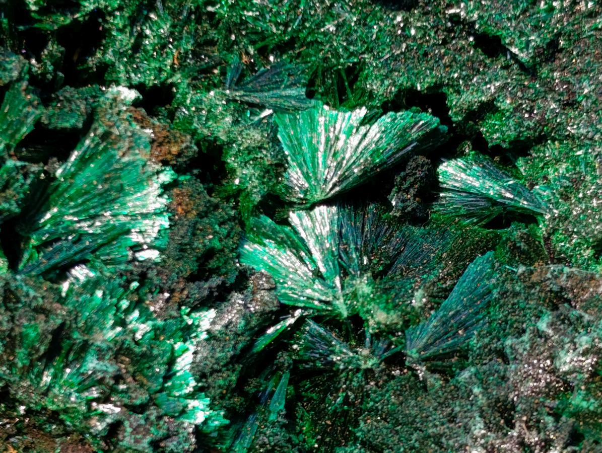 Natural Silky Malachite Specimens x 6 From Kasompe, Congo - Toprock Gemstones and Minerals 