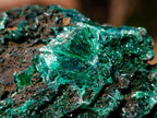 Natural Silky Malachite Specimens x 6 From Kasompe, Congo - Toprock Gemstones and Minerals 