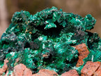 Natural Silky Malachite Specimens x 6 From Kasompe, Congo - Toprock Gemstones and Minerals 