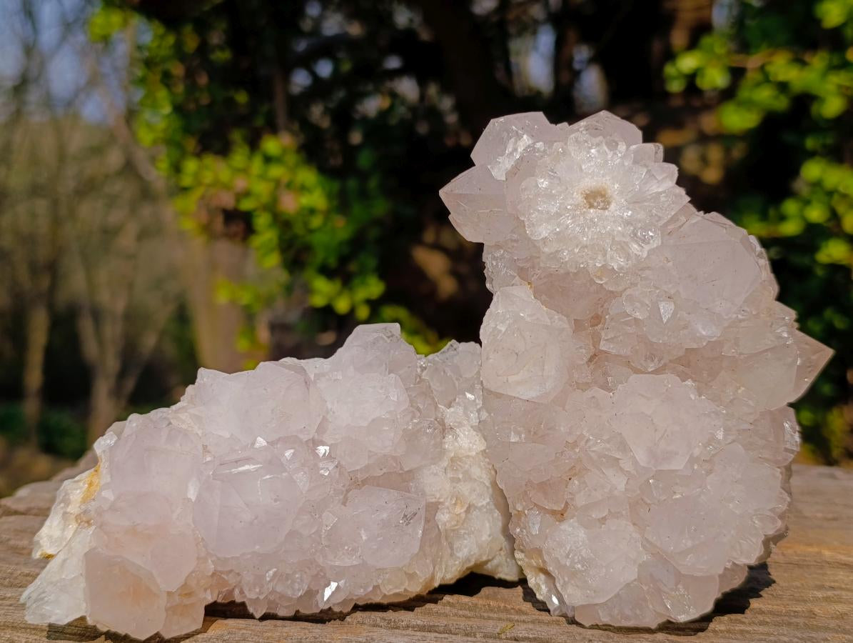 Natural Lilac Spirit Amethyst Clusters x 2 From Boekenhouthoek, South Africa - Toprock Gemstones and Minerals 