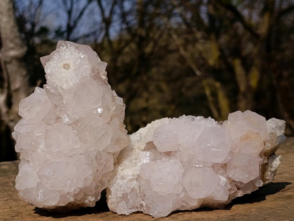 Natural Lilac Spirit Amethyst Clusters x 2 From Boekenhouthoek, South Africa - Toprock Gemstones and Minerals 