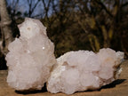 Natural Lilac Spirit Amethyst Clusters x 2 From Boekenhouthoek, South Africa - Toprock Gemstones and Minerals 
