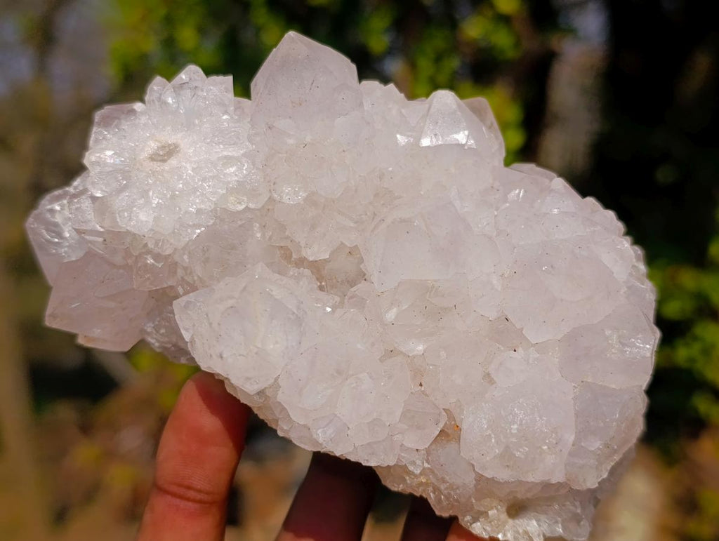 Natural Lilac Spirit Amethyst Clusters x 2 From Boekenhouthoek, South Africa - Toprock Gemstones and Minerals 