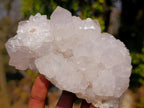 Natural Lilac Spirit Amethyst Clusters x 2 From Boekenhouthoek, South Africa - Toprock Gemstones and Minerals 