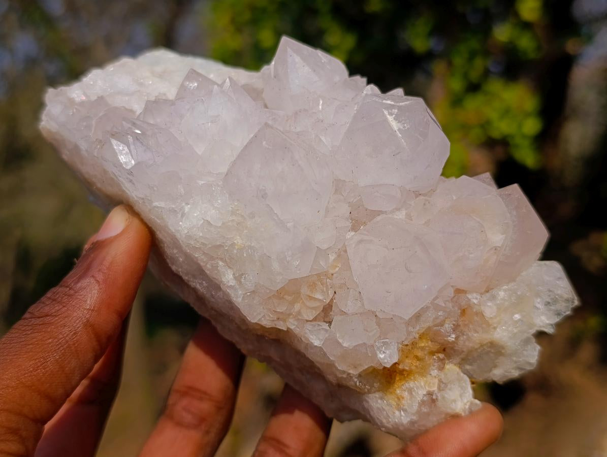 Natural Lilac Spirit Amethyst Clusters x 2 From Boekenhouthoek, South Africa - Toprock Gemstones and Minerals 