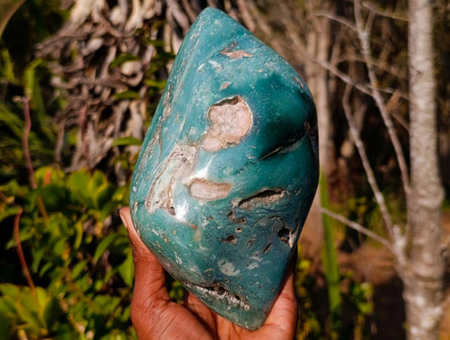Polished and Natural Large Great Dyke Mtorolite Chrysoprase Free Form x 1 From Great Dyke Mountain Range, Zimbabwe - Toprock Gemstones and Minerals 