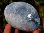 Polished and Natural Blue Celestite Free Forms x 6 From Sakoany, Madagascar - Toprock Gemstones and Minerals 