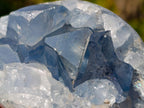 Polished and Natural Blue Celestite Free Forms x 6 From Sakoany, Madagascar - Toprock Gemstones and Minerals 