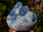 Polished and Natural Blue Celestite Free Forms x 6 From Sakoany, Madagascar - Toprock Gemstones and Minerals 