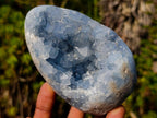 Polished and Natural Blue Celestite Free Forms x 6 From Sakoany, Madagascar - Toprock Gemstones and Minerals 
