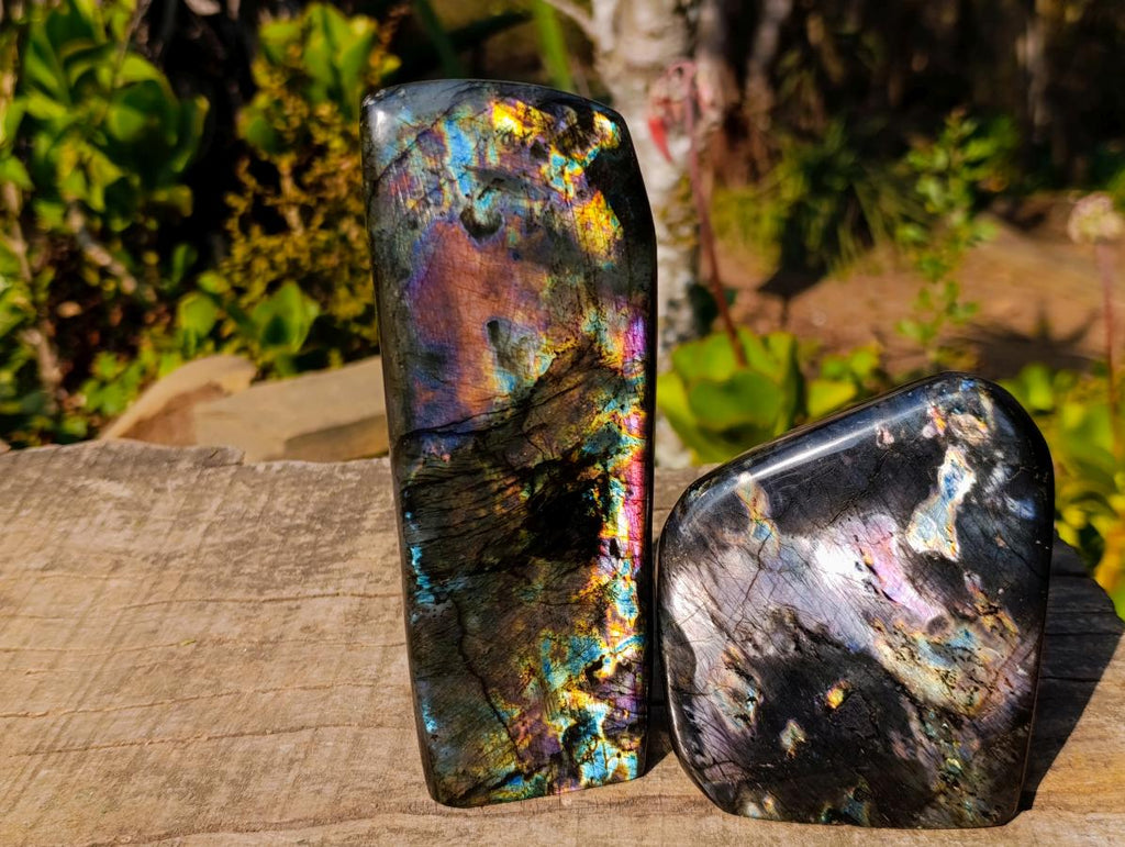 Polished Spectrolite Labradorite Standing Display Pieces x 2 From Madagascar - Toprock Gemstones and Minerals 