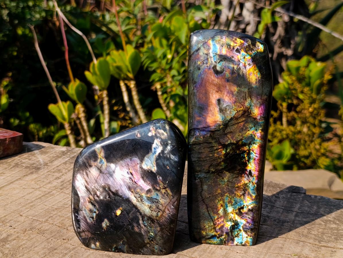 Polished Spectrolite Labradorite Standing Display Pieces x 2 From Madagascar - Toprock Gemstones and Minerals 