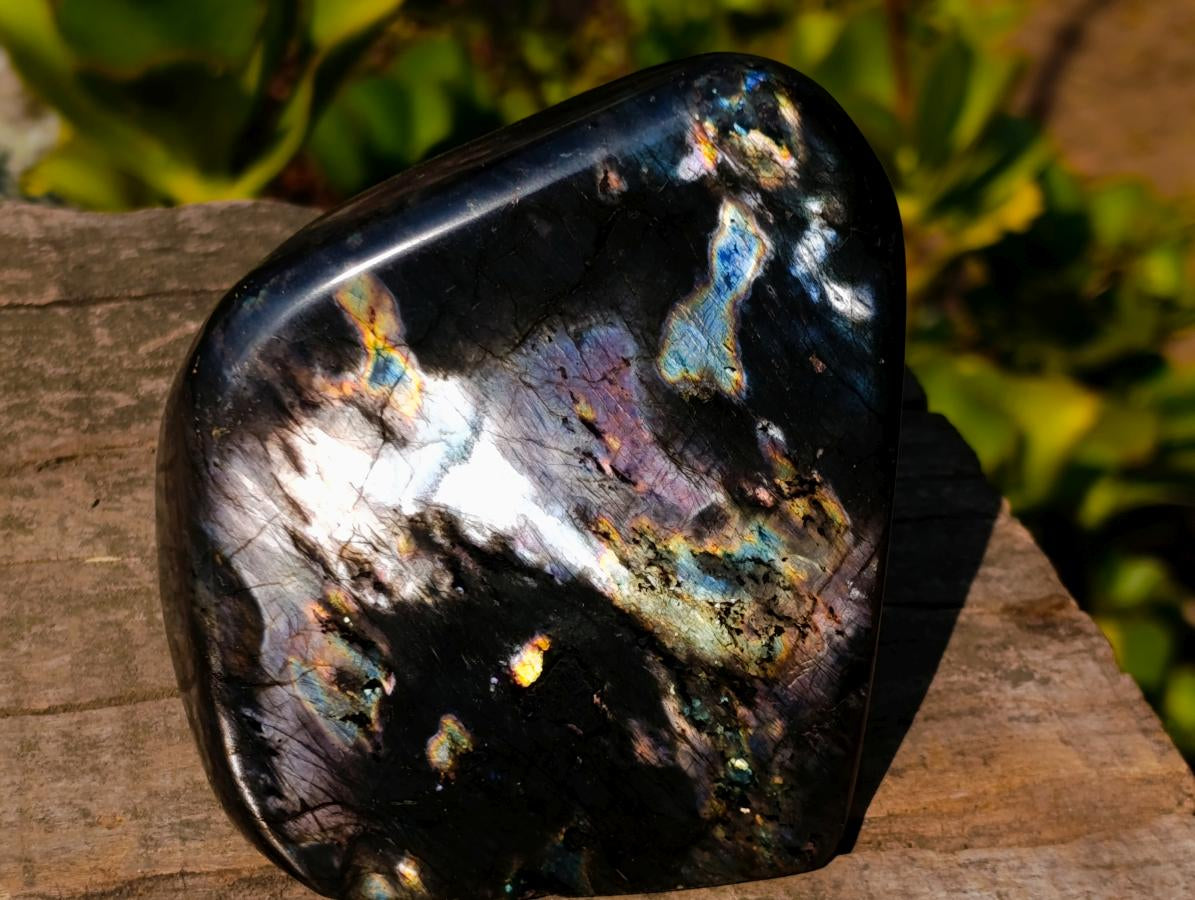 Polished Spectrolite Labradorite Standing Display Pieces x 2 From Madagascar - Toprock Gemstones and Minerals 