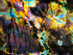 Polished Spectrolite Labradorite Standing Display Pieces x 2 From Madagascar - Toprock Gemstones and Minerals 