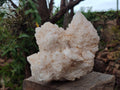 Natural XXL Cascading "Anananas" Candle Quartz Clusters x 2 From Antsirabe, Madagascar - Toprock Gemstones and Minerals 