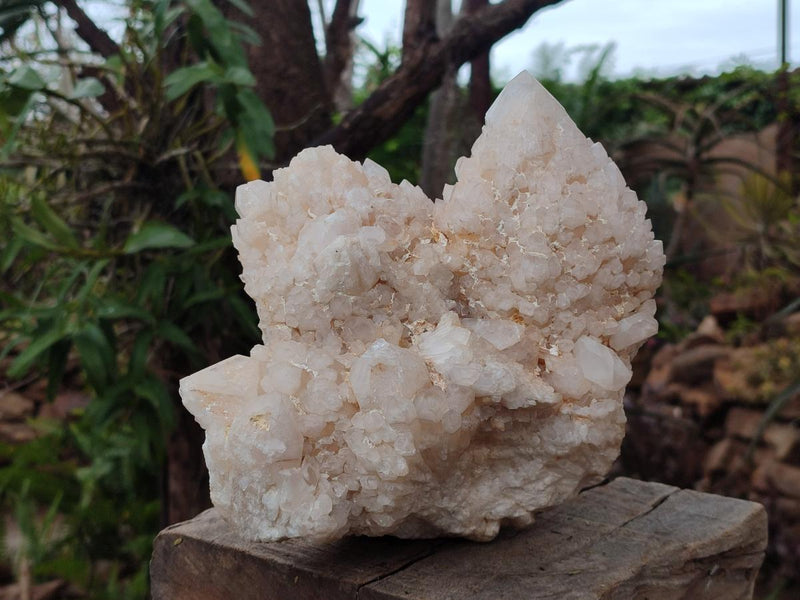 Natural XXL Cascading "Anananas" Candle Quartz Clusters x 2 From Antsirabe, Madagascar - Toprock Gemstones and Minerals 