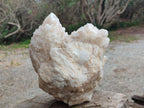 Natural XXL Cascading "Anananas" Candle Quartz Clusters x 2 From Antsirabe, Madagascar - Toprock Gemstones and Minerals 