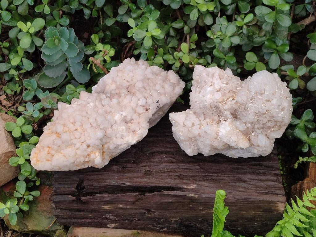 Natural XXL Cascading "Anananas" Candle Quartz Clusters x 2 From Antsirabe, Madagascar - Toprock Gemstones and Minerals 