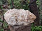 Natural XXL Cascading "Anananas" Candle Quartz Clusters x 2 From Antsirabe, Madagascar - Toprock Gemstones and Minerals 