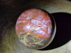 Polished Mixed Multi Mineral Spheres x 2 From Madagascar - Toprock Gemstones and Minerals 